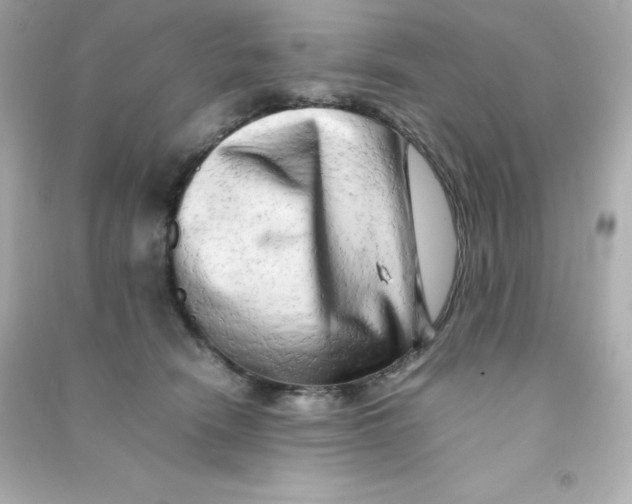X0000090430466200708102009