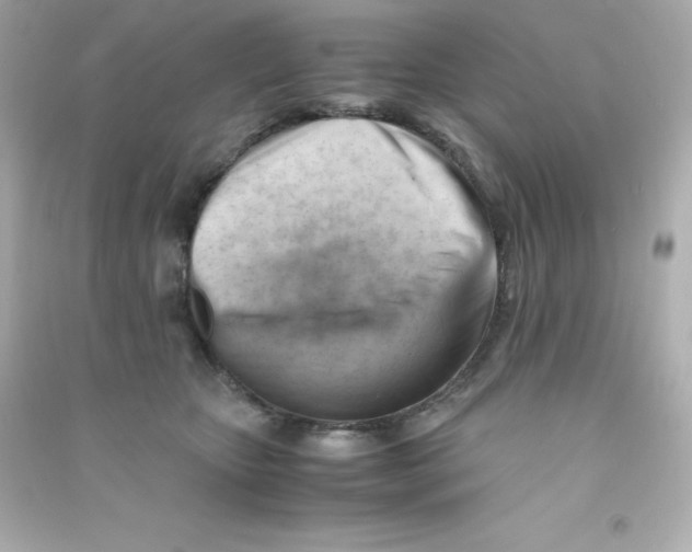 X0000090430467200708102009