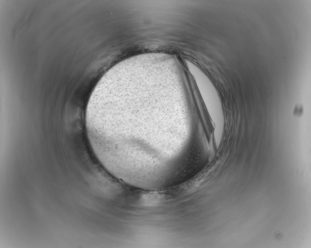 X0000090430470200708102009