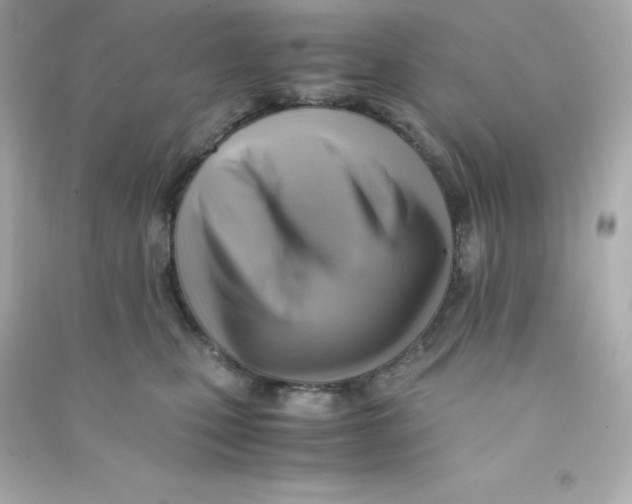 X0000090430471200708102009
