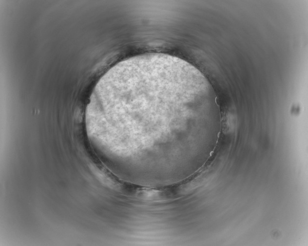 X0000090430472200708102009