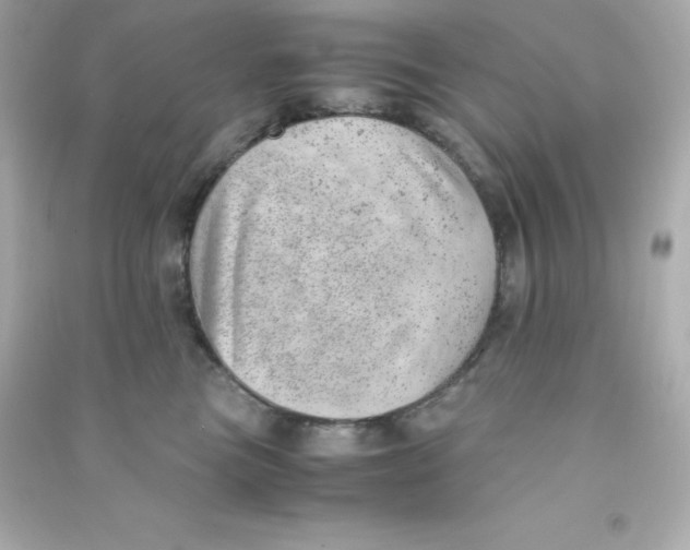X0000090430473200708102009