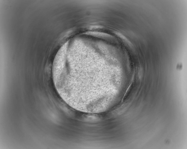 X0000090430475200708102009