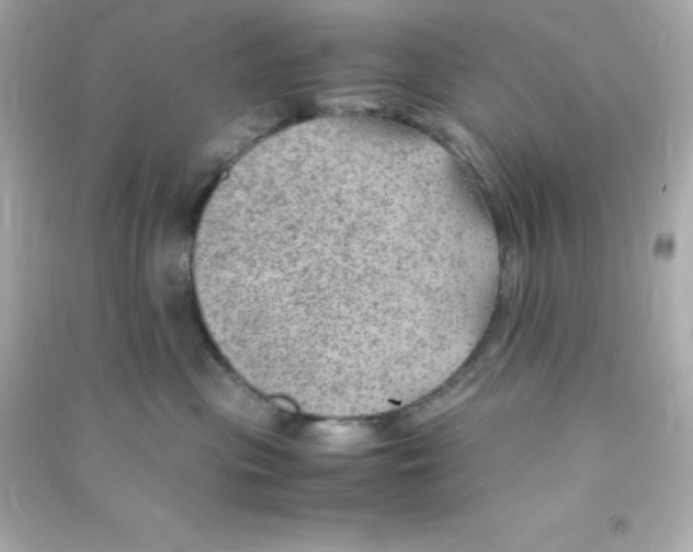 X0000090430477200708102009