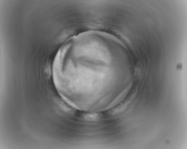X0000090430479200708102009
