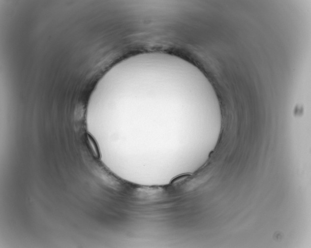 X0000090430480200708102009