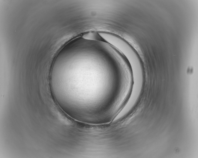 X0000090430481200708102008