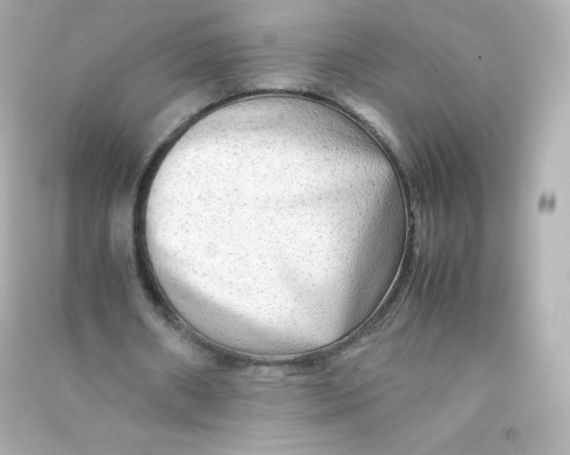 X0000090430482200708102008