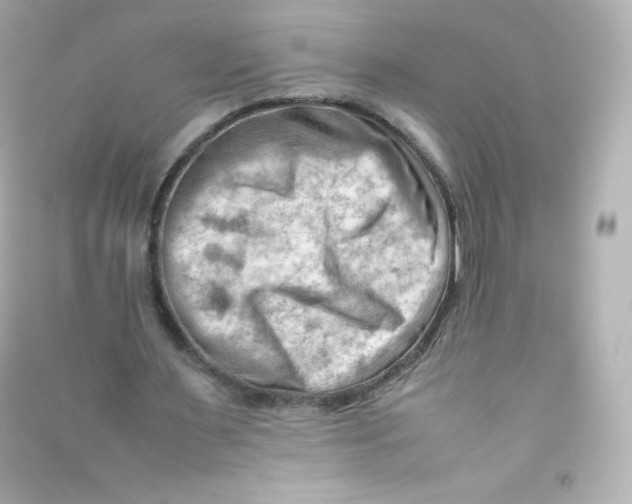 X0000090430483200708102008