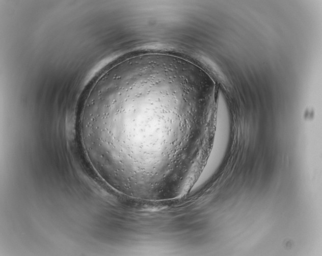 X0000090430484200708102008