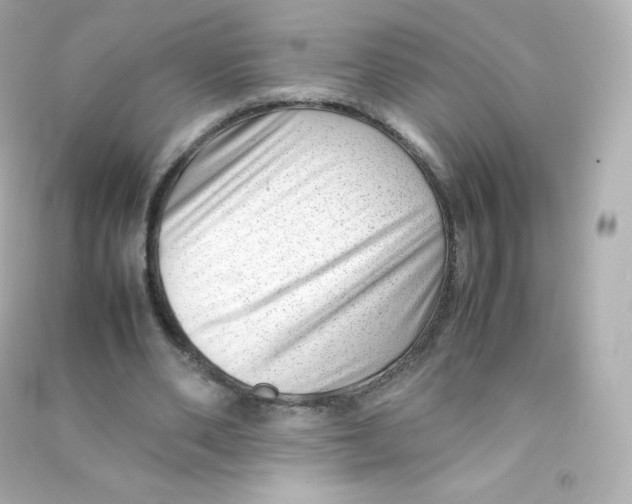 X0000090430486200708102008