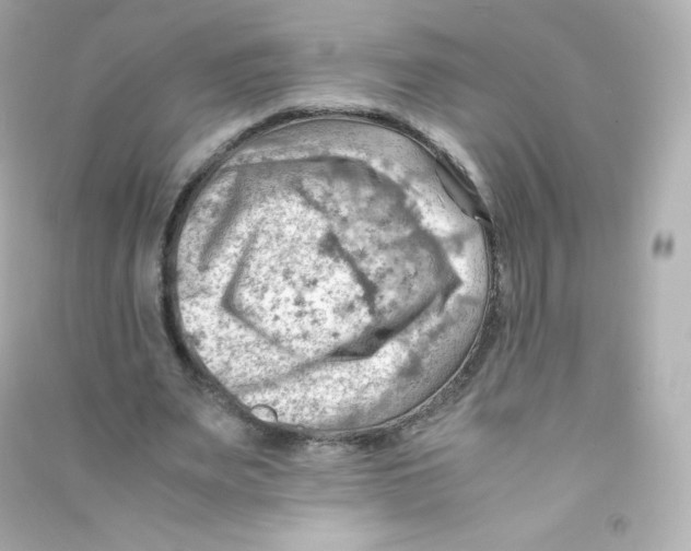 X0000090430487200708102008