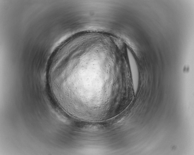 X0000090430488200708102008