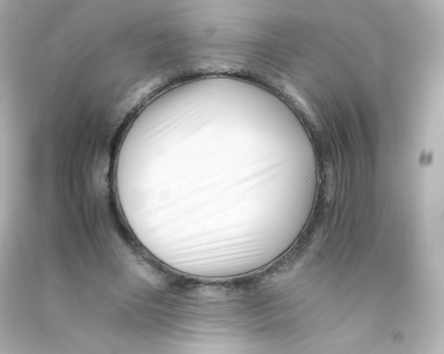 X0000090430490200708102008