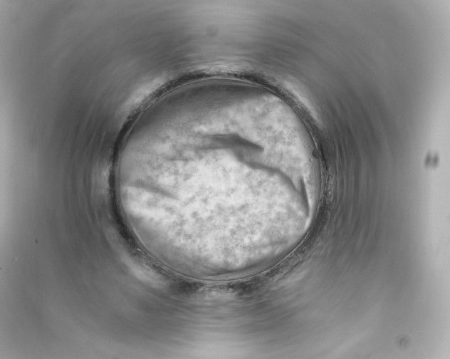 X0000090430491200708102008