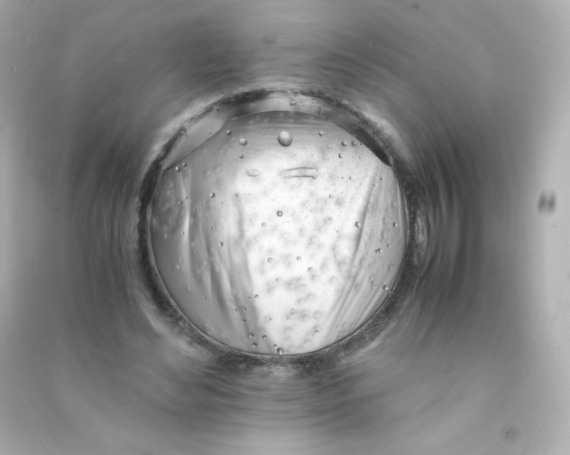 X0000090430492200708102008
