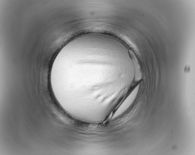 X0000090430493200708102008