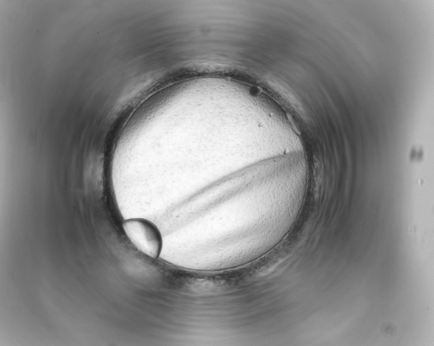 X0000090430494200708102008
