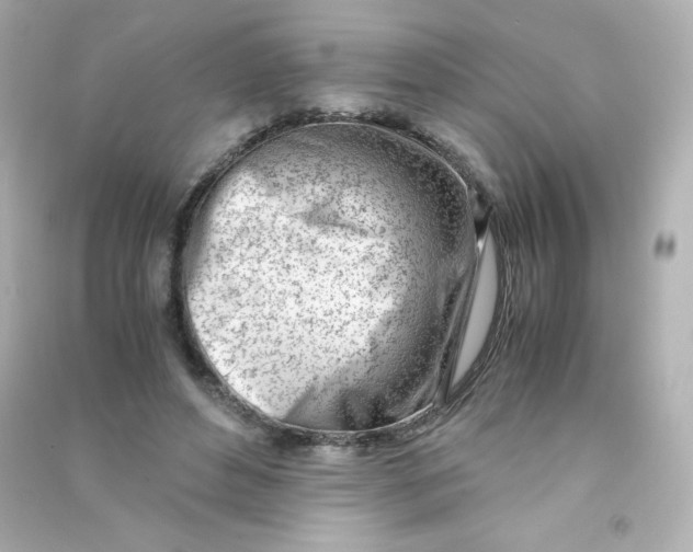 X0000090430496200708102008