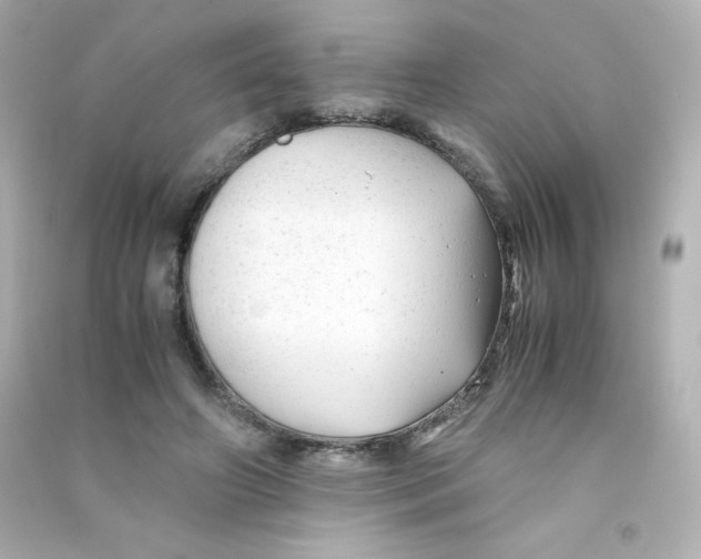 X0000090430498200708102008