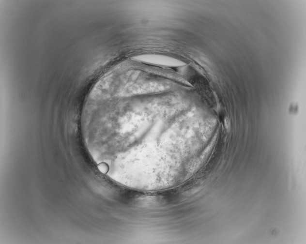 X0000090430499200708102008