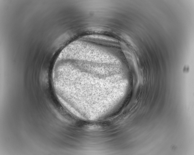 X0000090430500200708102008