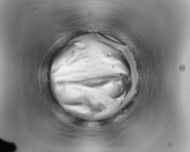 X0000090430501200708102008