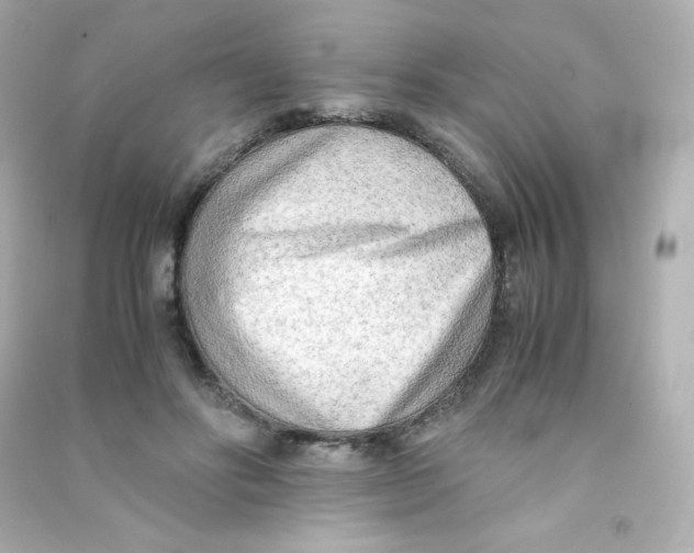 X0000090430502200708102008