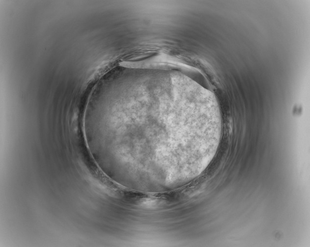X0000090430504200708102008