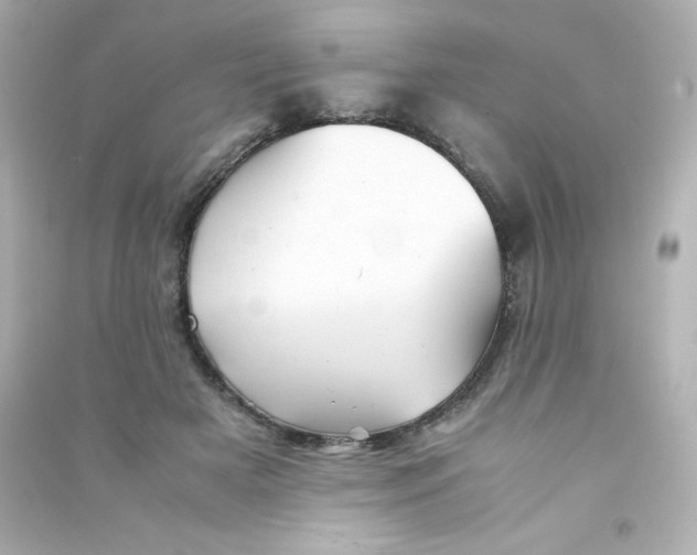 X0000090430505200708102008