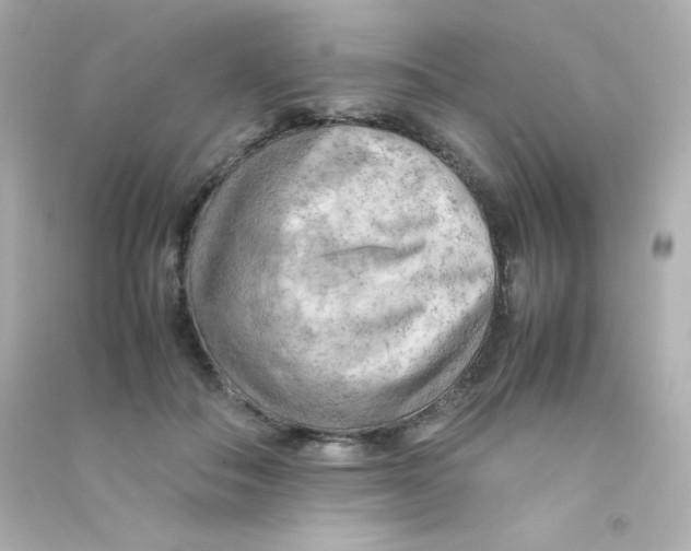 X0000090430506200708102008