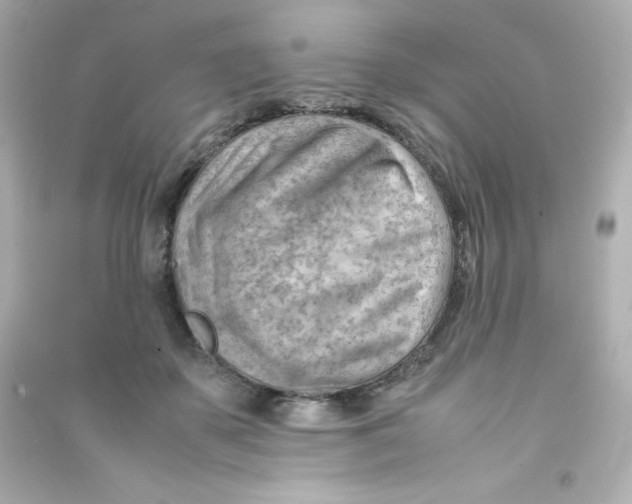 X0000090430507200708102008