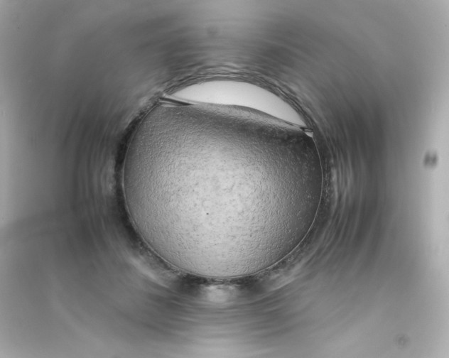 X0000090430508200708102008