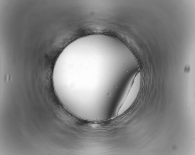 X0000090430509200708102008