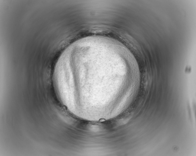 X0000090430510200708102008