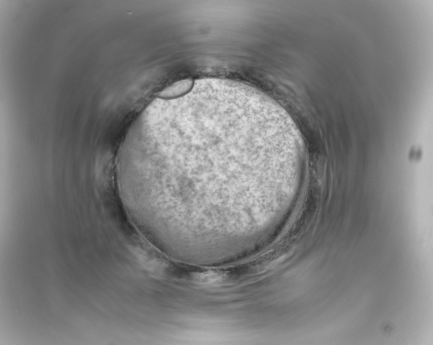 X0000090430511200708102008