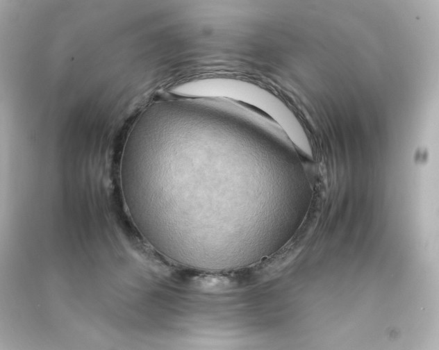 X0000090430512200708102008