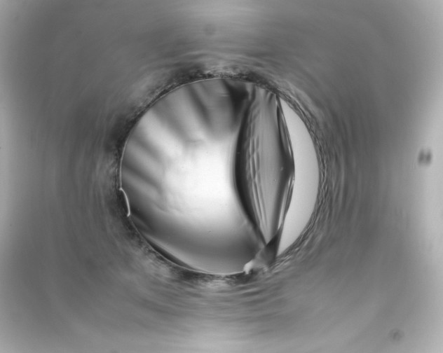 X0000090430513200708102008