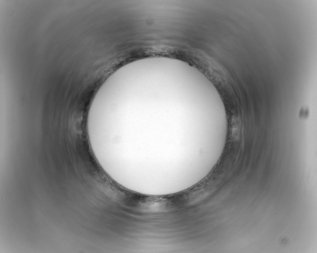 X0000090430514200708102008