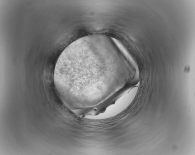 X0000090430515200708102008