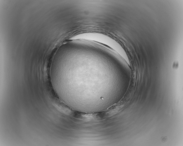 X0000090430516200708102008