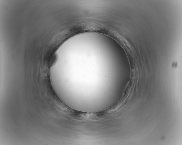 X0000090430517200708102008