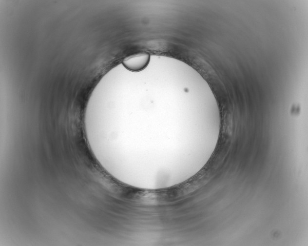 X0000090430518200708102008