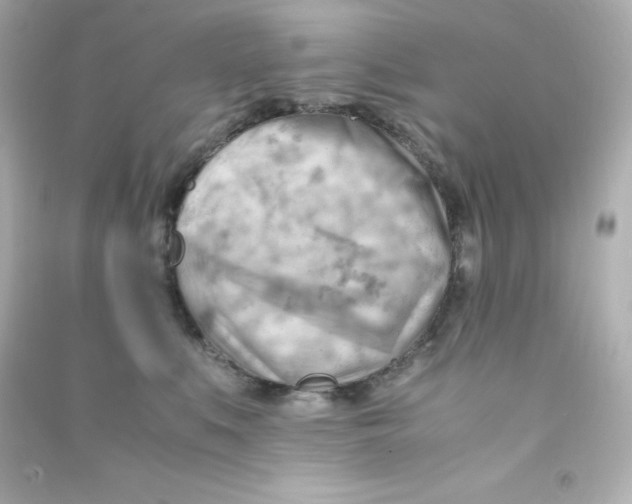 X0000090430519200708102008