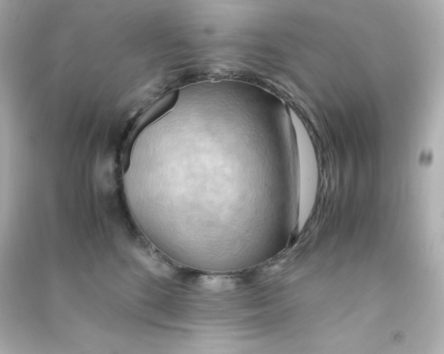 X0000090430520200708102008