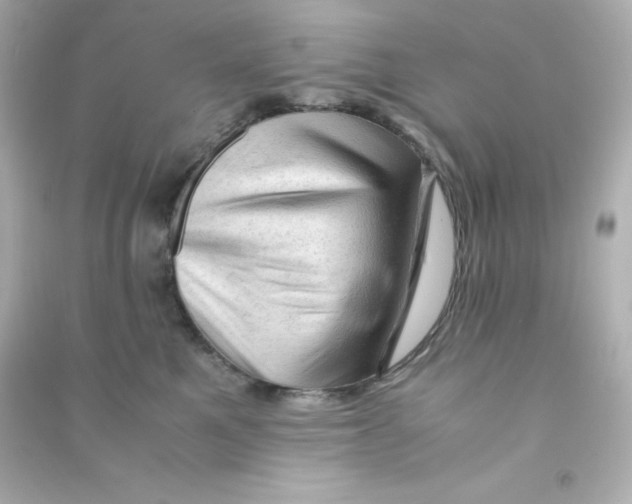 X0000090430521200708102008