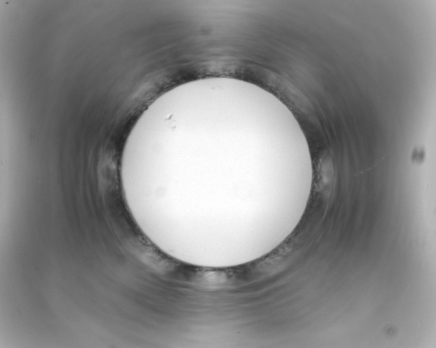 X0000090430522200708102008