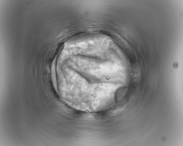 X0000090430523200708102008