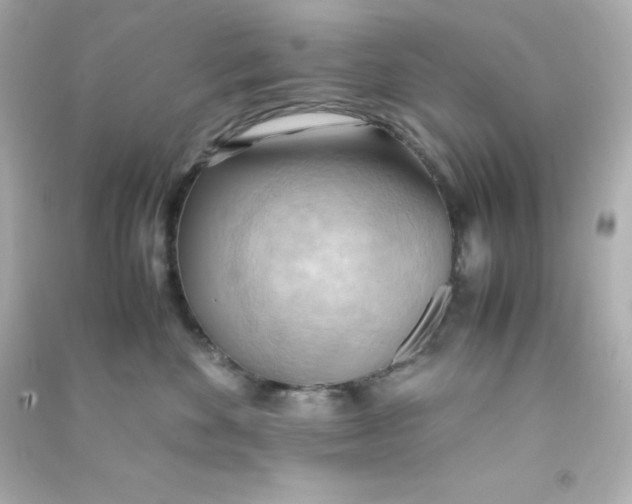 X0000090430524200708102008