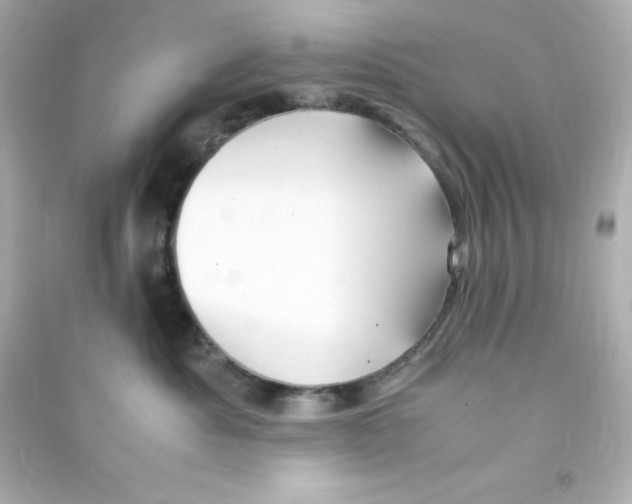 X0000090430525200708102008